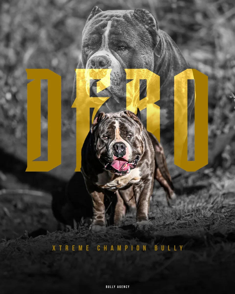DEBO — moving shot, side profile